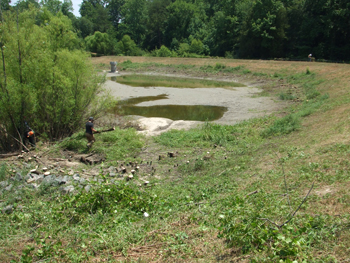 Winston-Salem Forsyth county schools detention pond vegetation removal